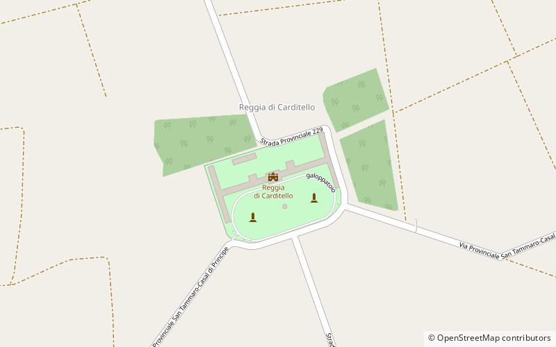 Palais royal de Carditello location map
