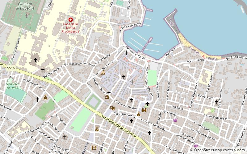 Bisceglie Cathedral location map