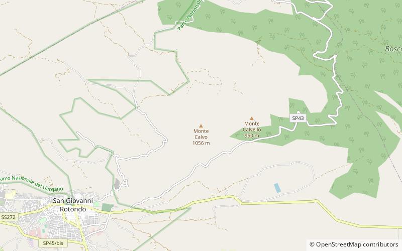 Monte Calvo location map