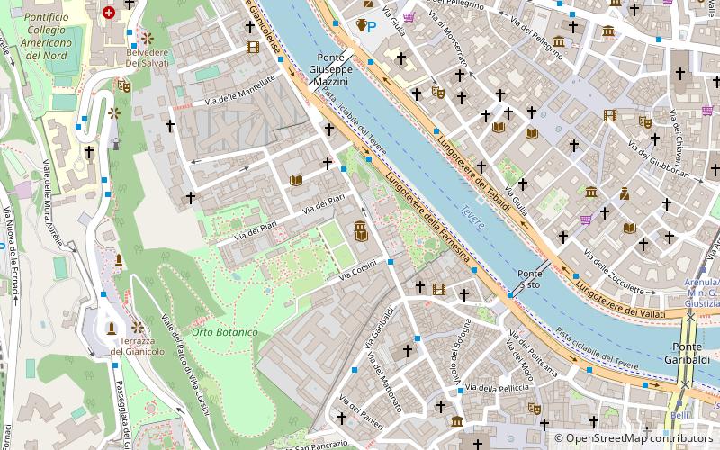 Palazzo Corsini location map