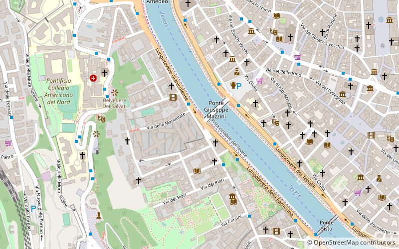 Via della Lungara location map