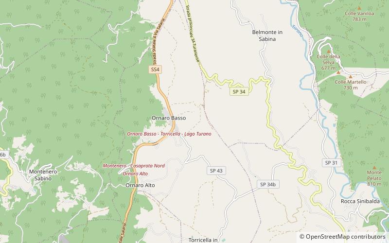 Torricella in Sabina location map