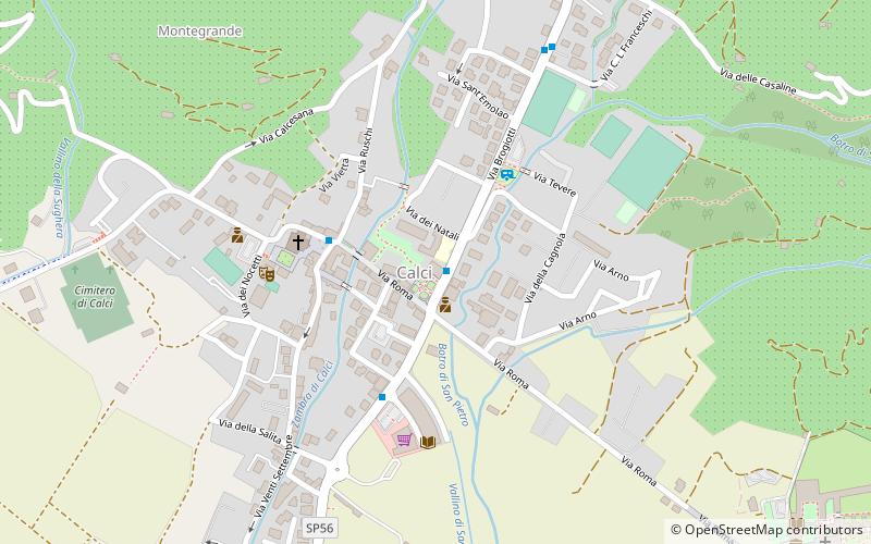Comune di Calci location map