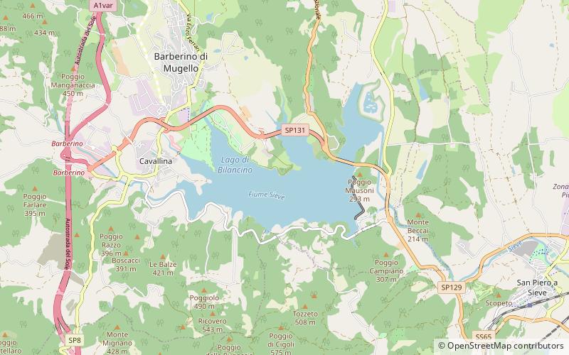 Lago di Bilancino location map