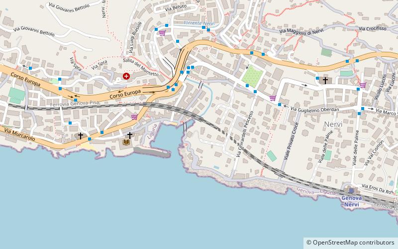 Nervi location map