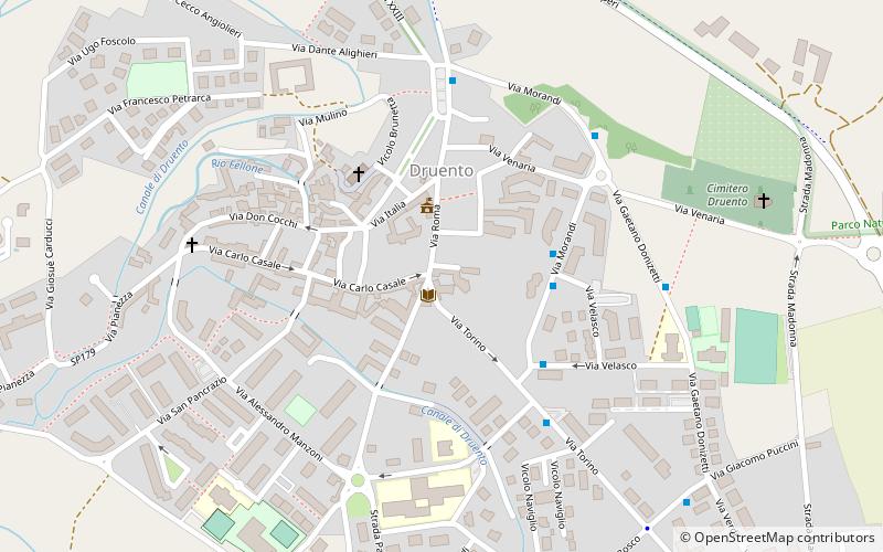 Druento location map