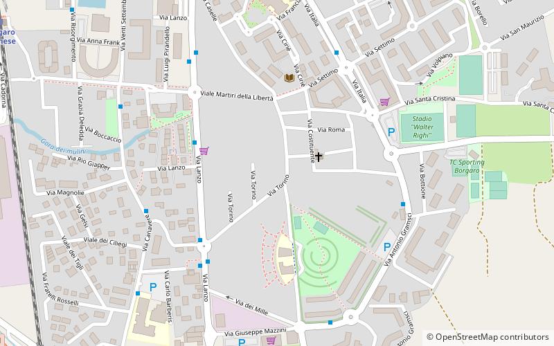 Borgaro Torinese location map