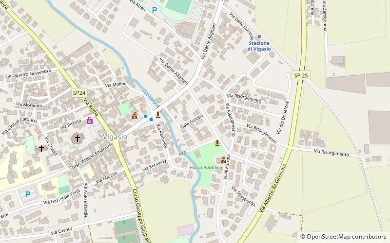 vigasio location map