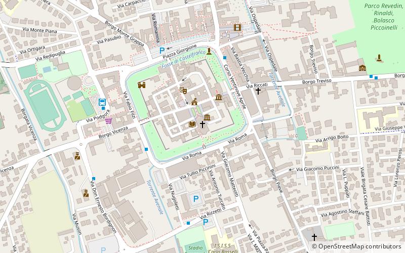 Dom von Castelfranco Veneto location map