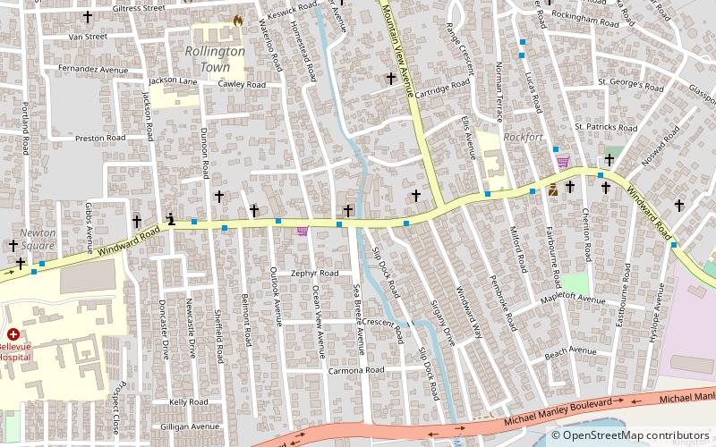 constant spring kingston location map