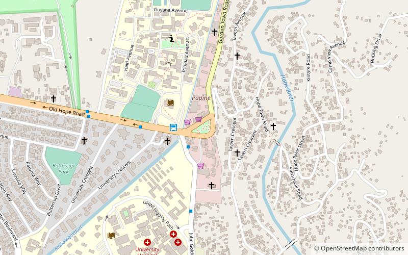papine park kingston location map