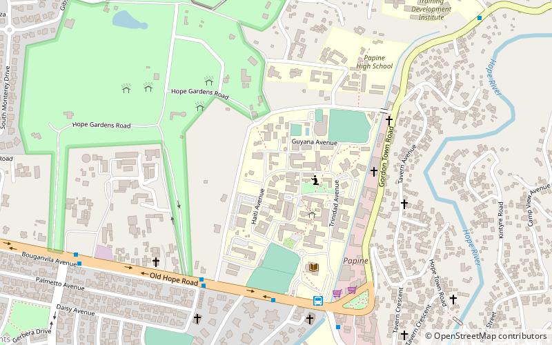 universidad de tecnologia de jamaica kingston location map