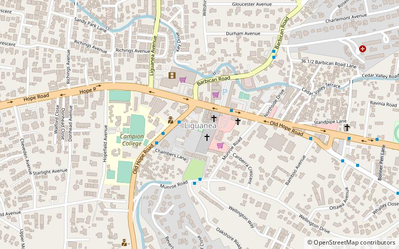 Liguanea location map