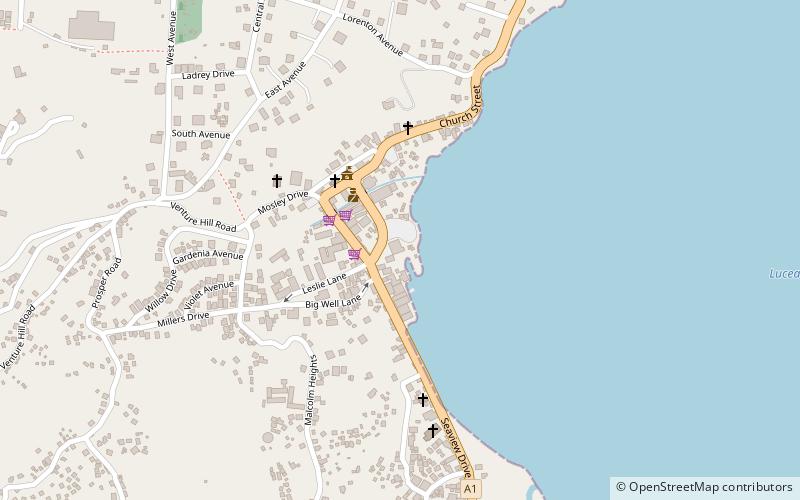 Lucea location map