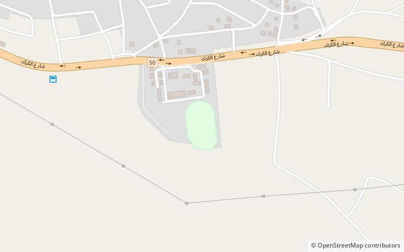 prince faisal stadium kerak location map