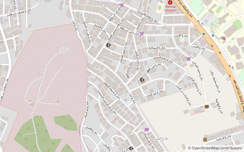 British Institute in Amman location map