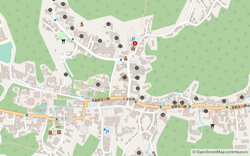 ichijoin koya san location map