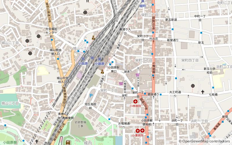 chinriu honten odawara location map
