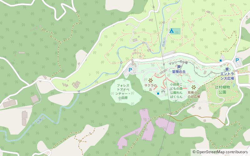 forest adventure odawara location map