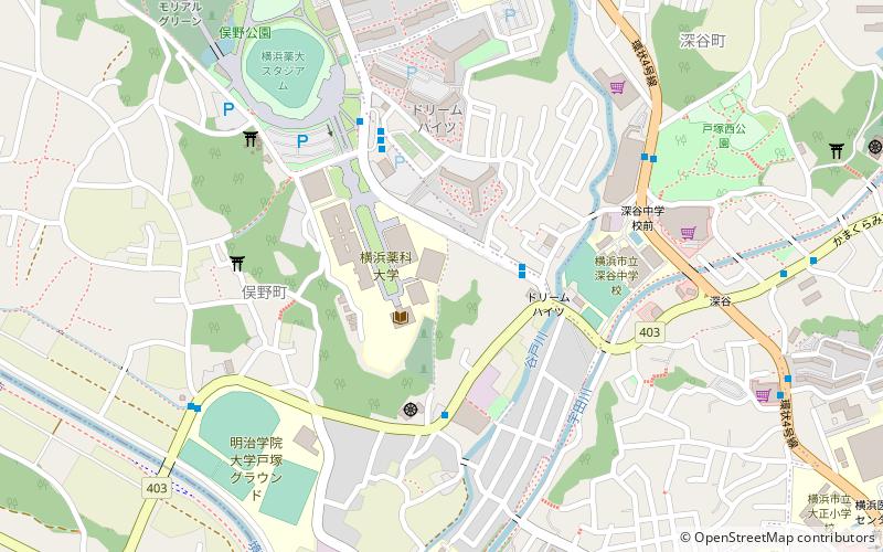 Yokohama College of Pharmacy location map