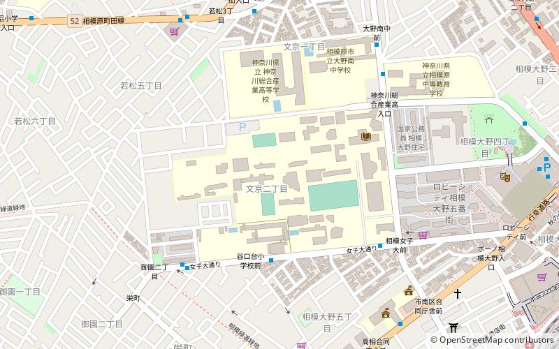 Sagami Women's University location map