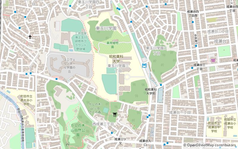 Showa Pharmaceutical University location map