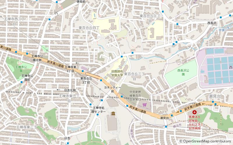 Den-en Chofu University location map