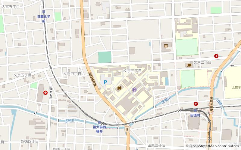 Universidad de Fukui location map