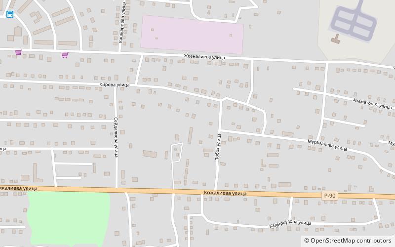 toguz toro district kazarman location map