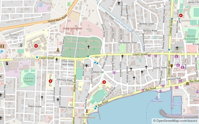biblioteca publica charles a halbert basseterre location map