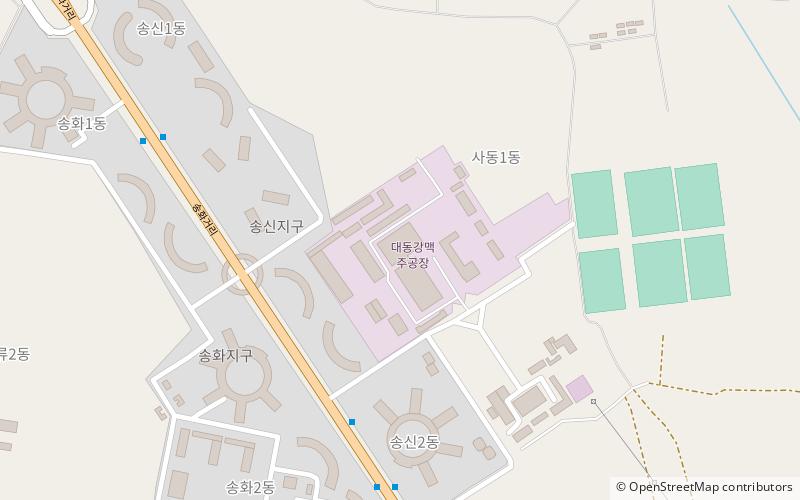 taedonggang brewing company pjongjang location map