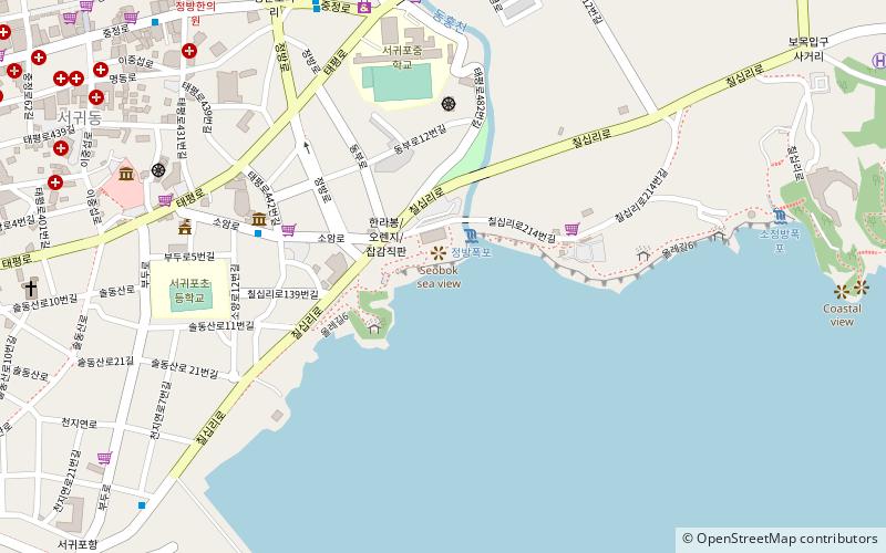 jagulihaebyeon seogwipo si location map