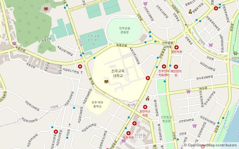 universite nationale de pedagogie de chinju jinju location map