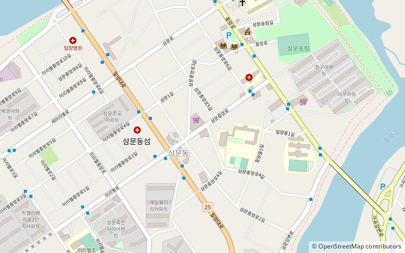 top mart miryang location map