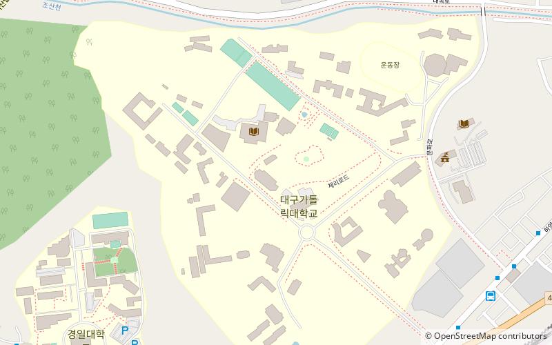 catholic university of daegu location map