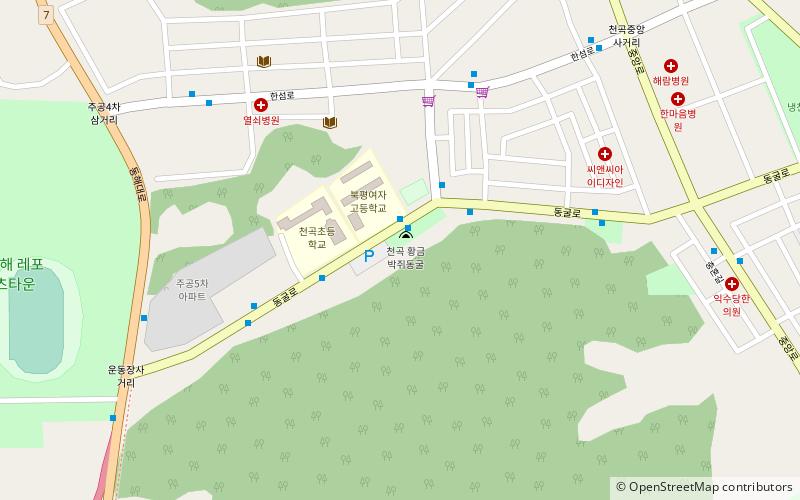 cheongok natural cave donghae location map