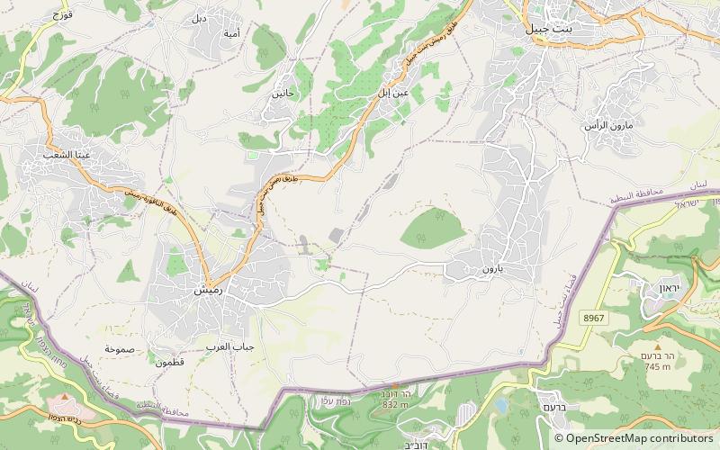 wadi yaroun location map