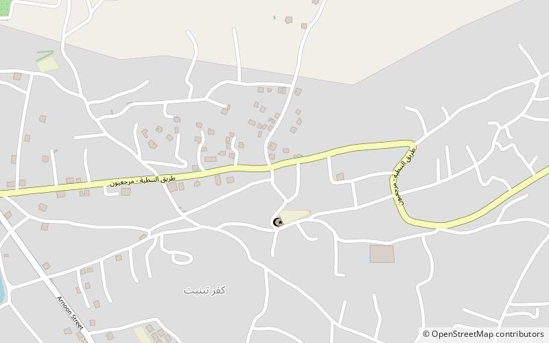 Kfar Tebnit location map