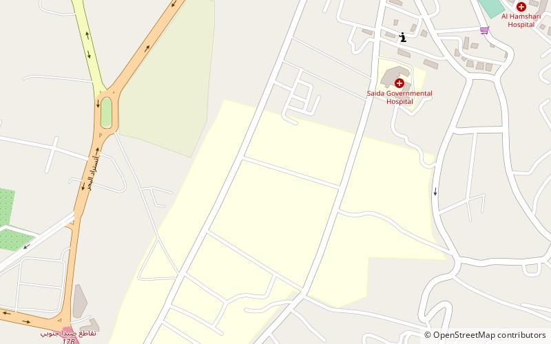 Ain al-Hilweh location map
