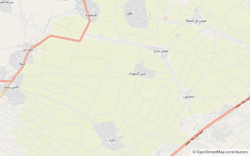 Tell Ain Saouda location map