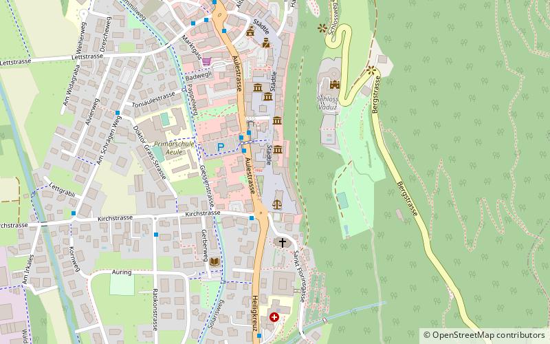landtag vaduz location map