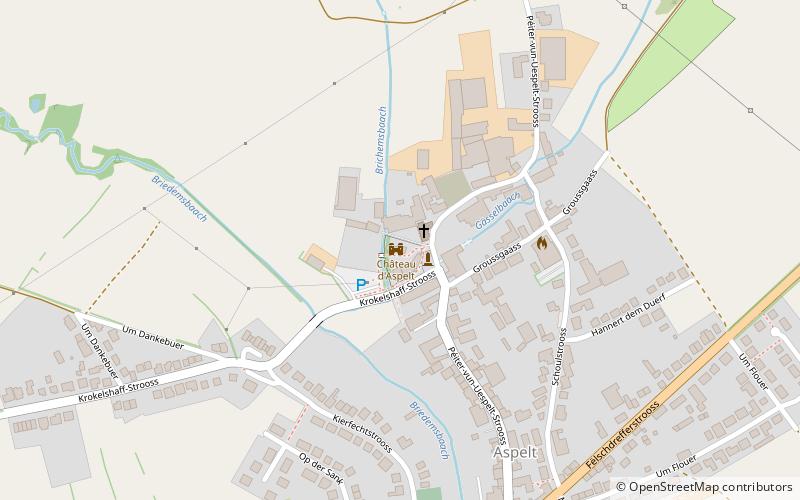 Aspelt Castle location map