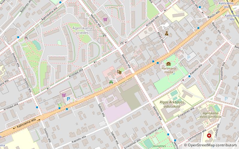 Kalnciema iela location map