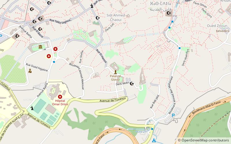 dar glaoui fez location map