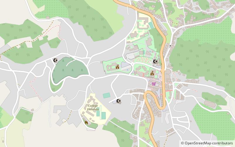 Taounate location map