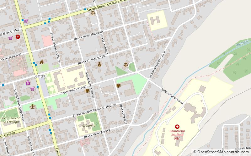 Bogdan Petriceicu Hasdeu State University location map