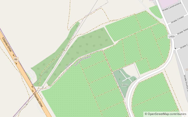 Cricova location map