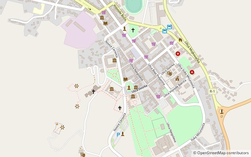 state archives of montenegro cetinje location map
