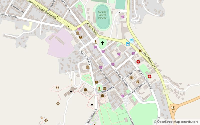 crnogorska galerija umjetnosti miodrag dado duric cetinje location map