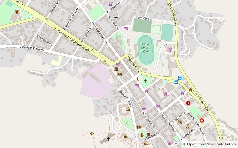 gradska citaonica njegos cetinje location map